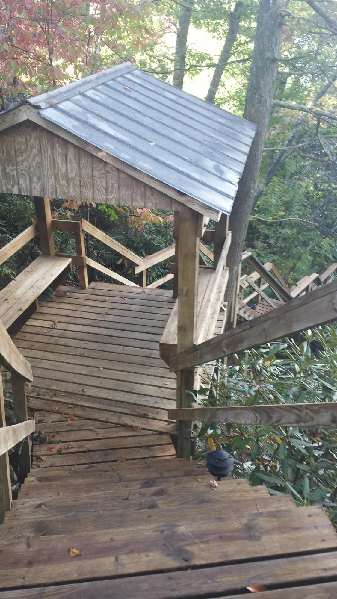 Metal roofed shelter over wooden steps on a wooded walkway — Skylight Repair & Installation work by our crew in Rich Hill